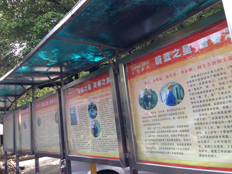 点击查看大图